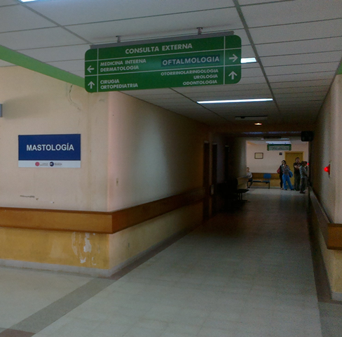 Unidad masto